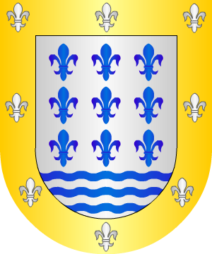 ESCUDO SIGUIENTE