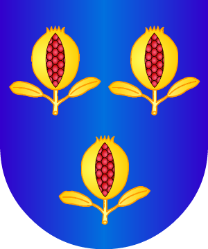 ESCUDO SIGUIENTE
