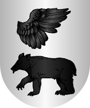 ESCUDO SIGUIENTE