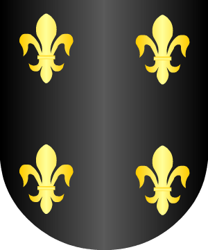ESCUDO PRECEDENTE