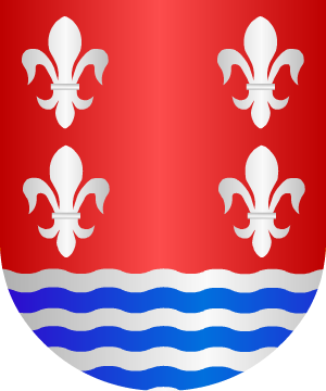 ESCUDO SIGUIENTE