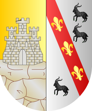 ESCUDO SIGUIENTE