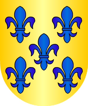 ESCUDO SIGUIENTE