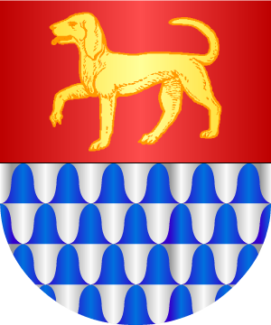 ESCUDO SIGUIENTE