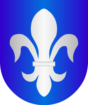 ESCUDO ALEATORIO
