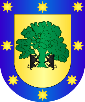 ESCUDO SIGUIENTE