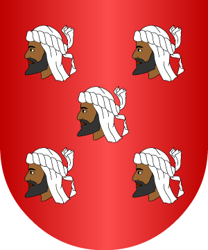 ESCUDO SIGUIENTE