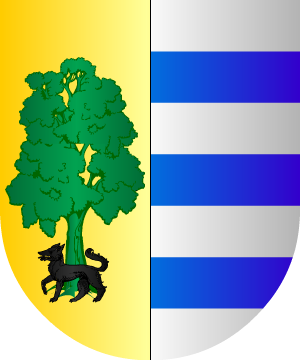 ESCUDO SIGUIENTE