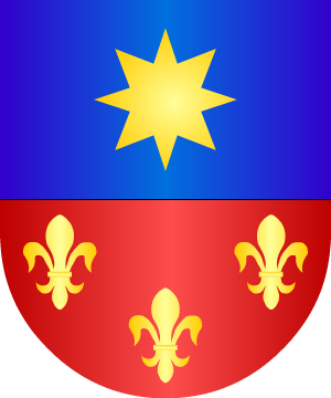 ESCUDO SIGUIENTE