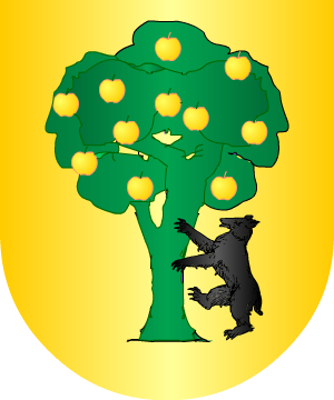 ESCUDO ALEATORIO