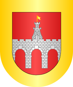 ESCUDO SIGUIENTE