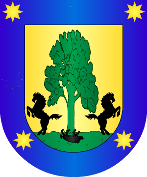 ESCUDO SIGUIENTE