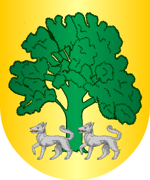 ESCUDO ALEATORIO