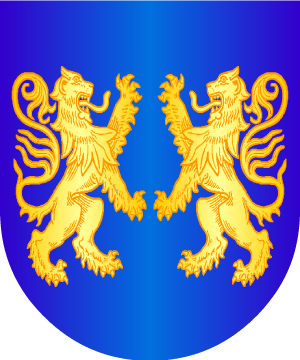 ESCUDO SIGUIENTE
