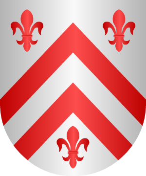 ESCUDO ALEATORIO