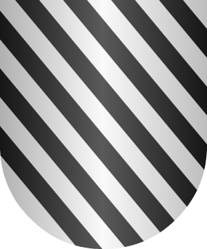ESCUDO SIGUIENTE