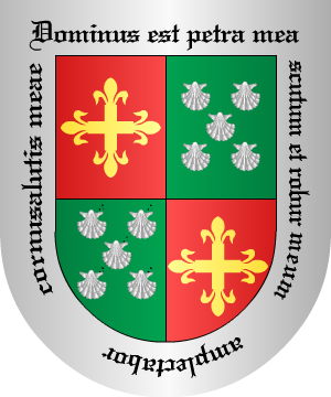 ESCUDO SIGUIENTE