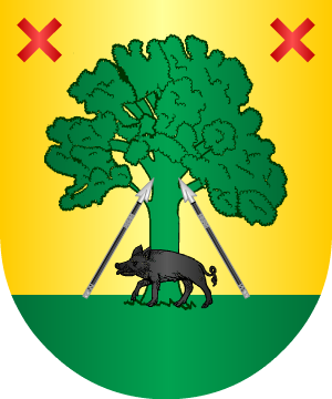 ESCUDO SIGUIENTE