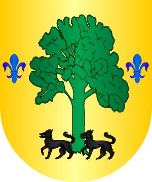 ESCUDO ALEATORIO