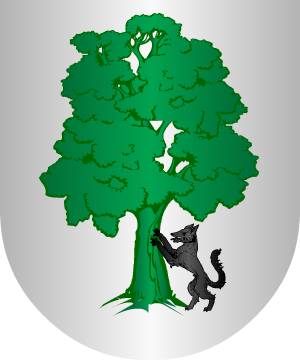 ESCUDO SIGUIENTE