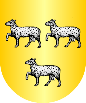 ESCUDO ALEATORIO