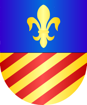 ESCUDO SIGUIENTE