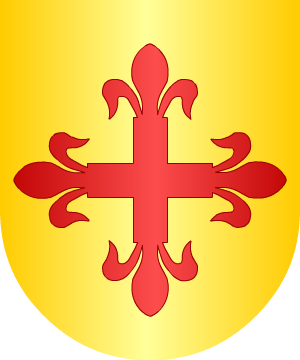 ESCUDO SIGUIENTE