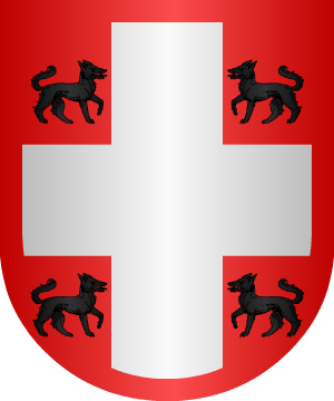 ESCUDO SIGUIENTE