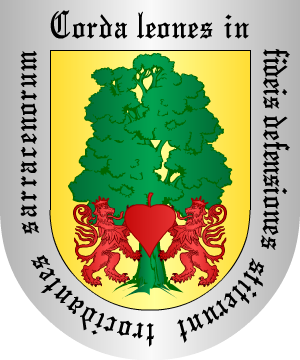 ESCUDO SIGUIENTE