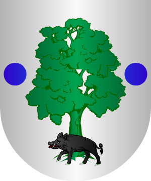 ESCUDO SIGUIENTE