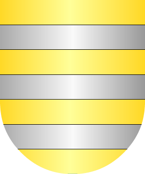 ESCUDO ALEATORIO