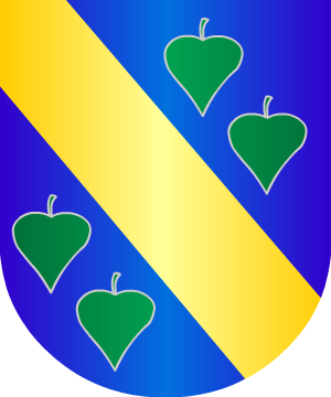 ESCUDO SIGUIENTE