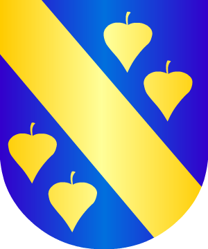 ESCUDO SIGUIENTE