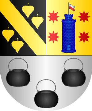 ESCUDO PRECEDENTE