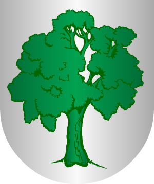 ESCUDO PRECEDENTE