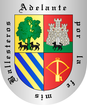 ESCUDO PRECEDENTE