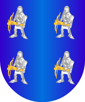 ESCUDO SIGUIENTE