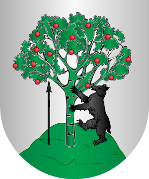 ESCUDO PRECEDENTE