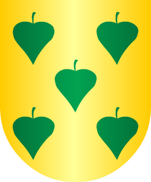 ESCUDO SIGUIENTE