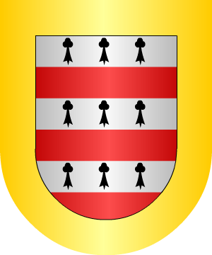 ESCUDO SIGUIENTE
