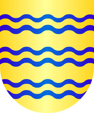 ESCUDO PRECEDENTE