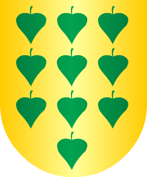 ESCUDO ALEATORIO