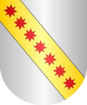 ESCUDO SIGUIENTE