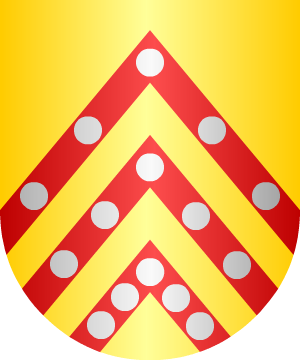 ESCUDO SIGUIENTE