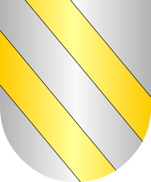 ESCUDO SIGUIENTE