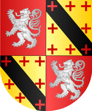 ESCUDO SIGUIENTE