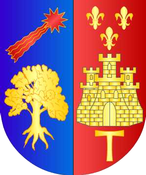 ESCUDO ALEATORIO