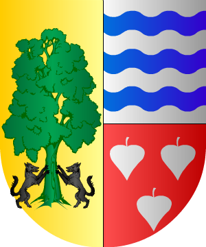 ESCUDO PRECEDENTE
