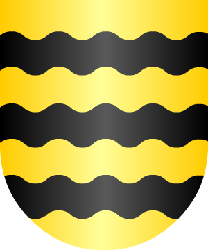 ESCUDO SIGUIENTE