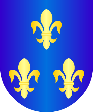 ESCUDO PRECEDENTE